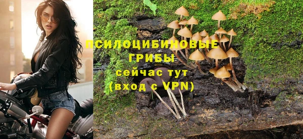 прущие крисы Верхний Тагил