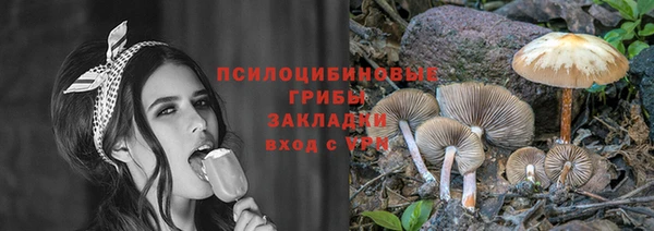 прущие крисы Верхний Тагил
