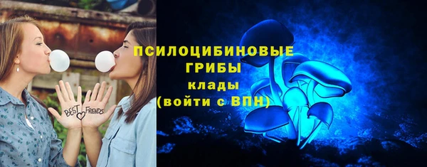 прущие крисы Верхний Тагил