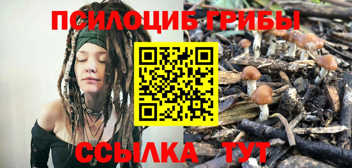 Воскресенск  Галлюциногенные грибы Cubensis  Вход с VPN 